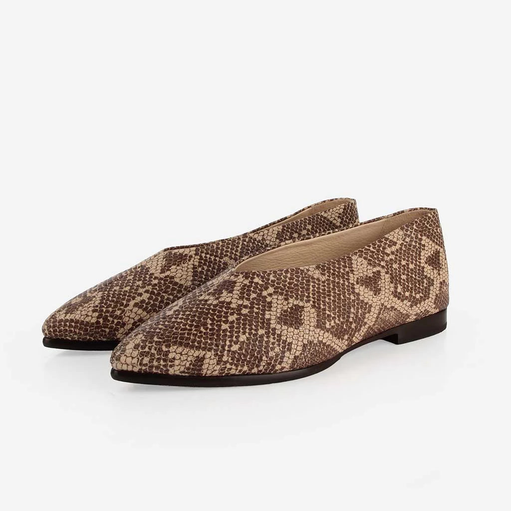 The Atelier Flat Desert Snake