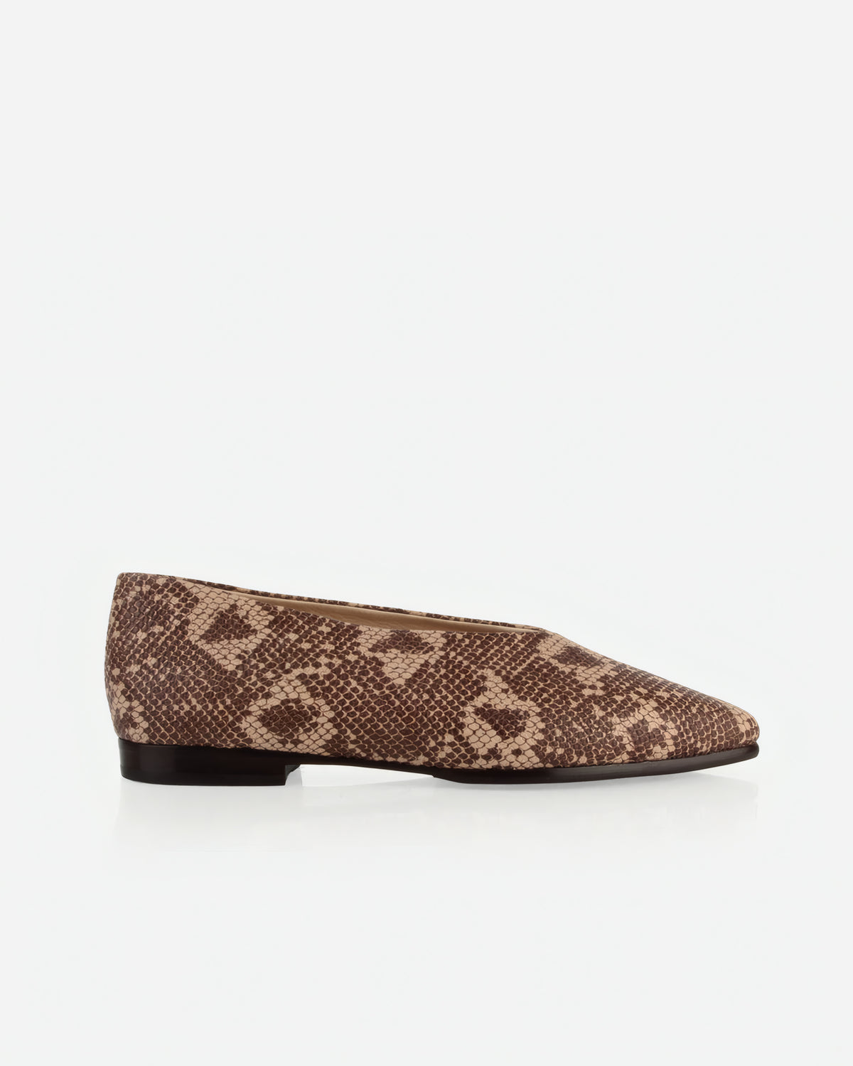 The Atelier Flat Desert Snake