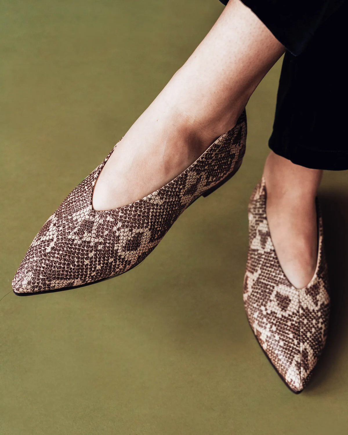 The Atelier Flat Desert Snake