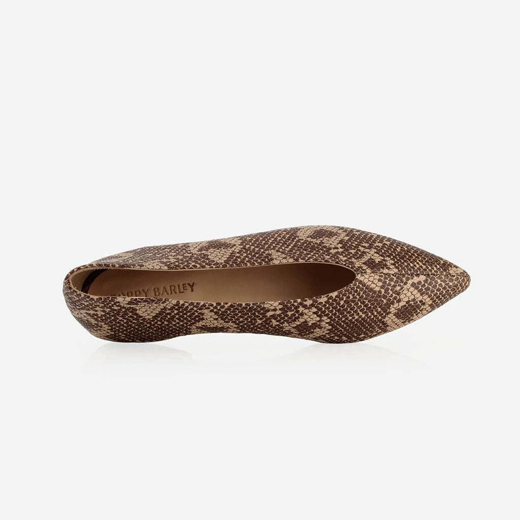 The Atelier Flat Desert Snake