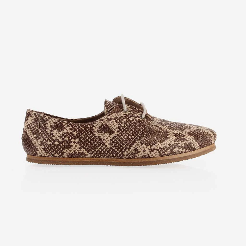 The Eyelet Oxford 2.0 Desert Snake