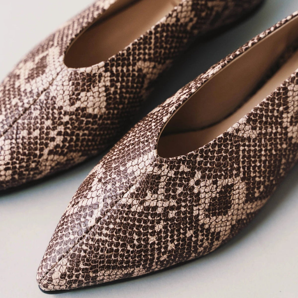 The Atelier Flat Desert Snake