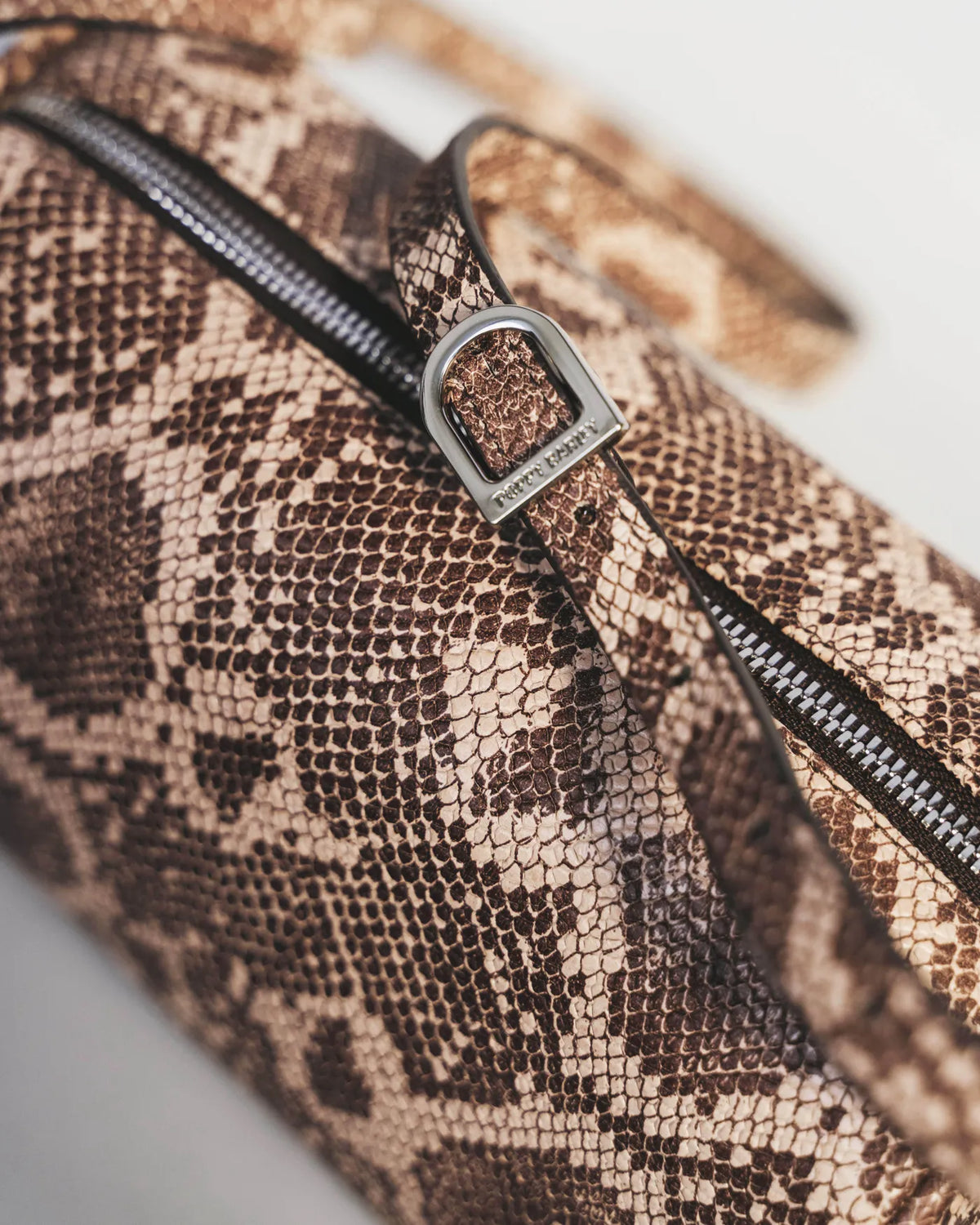 The Annex Bag Desert Snake