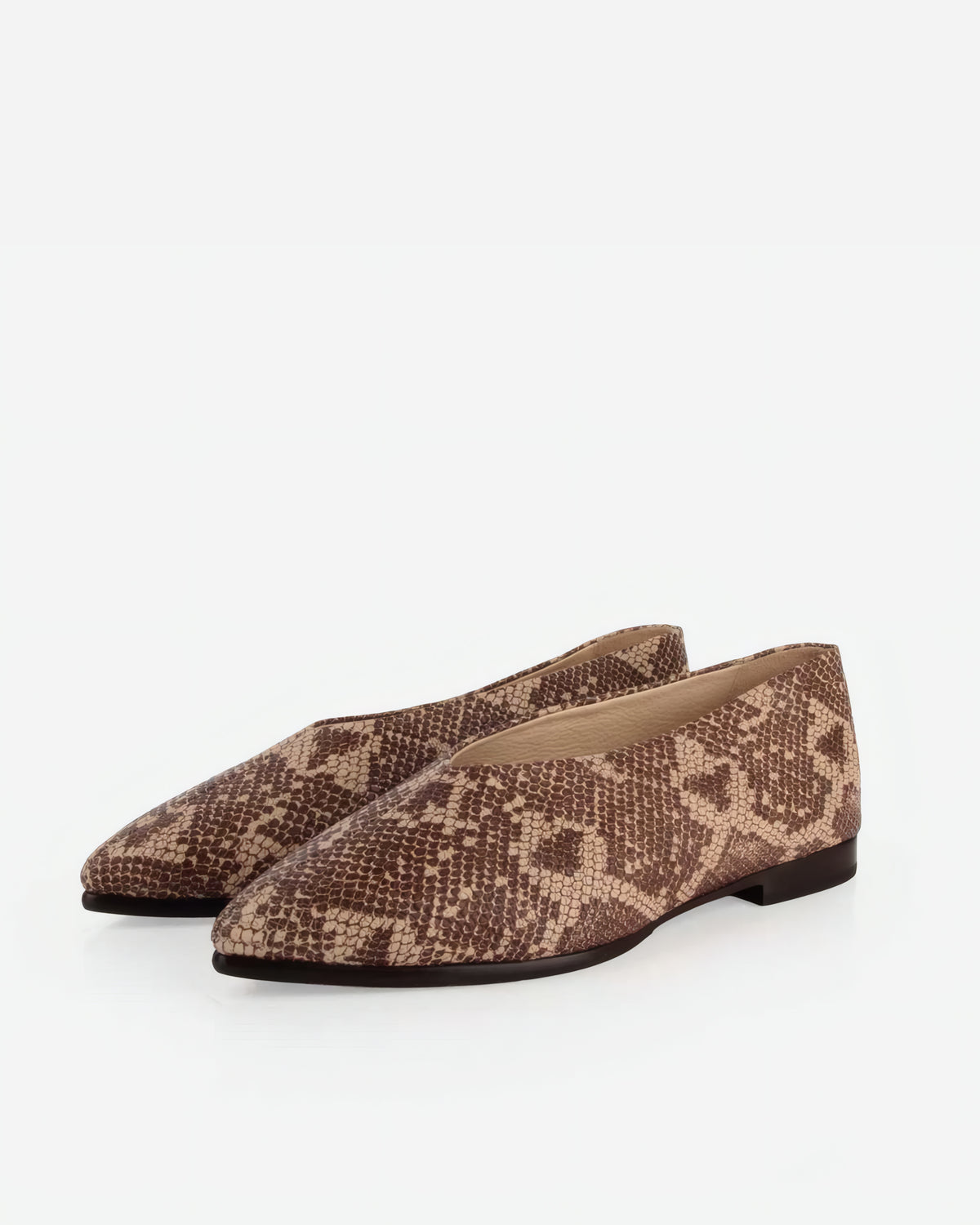 The Atelier Flat Desert Snake