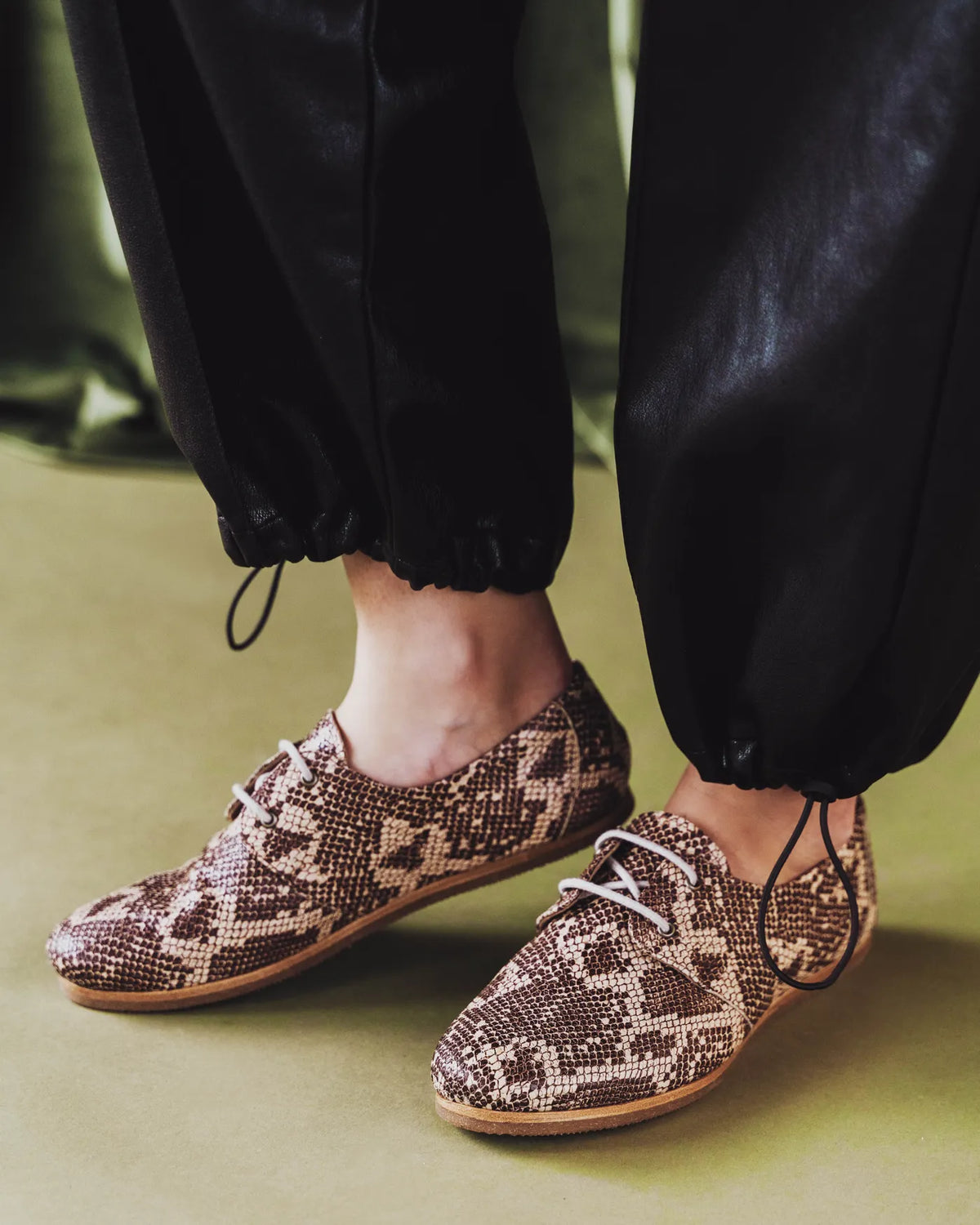 The Eyelet Oxford 2.0 Desert Snake