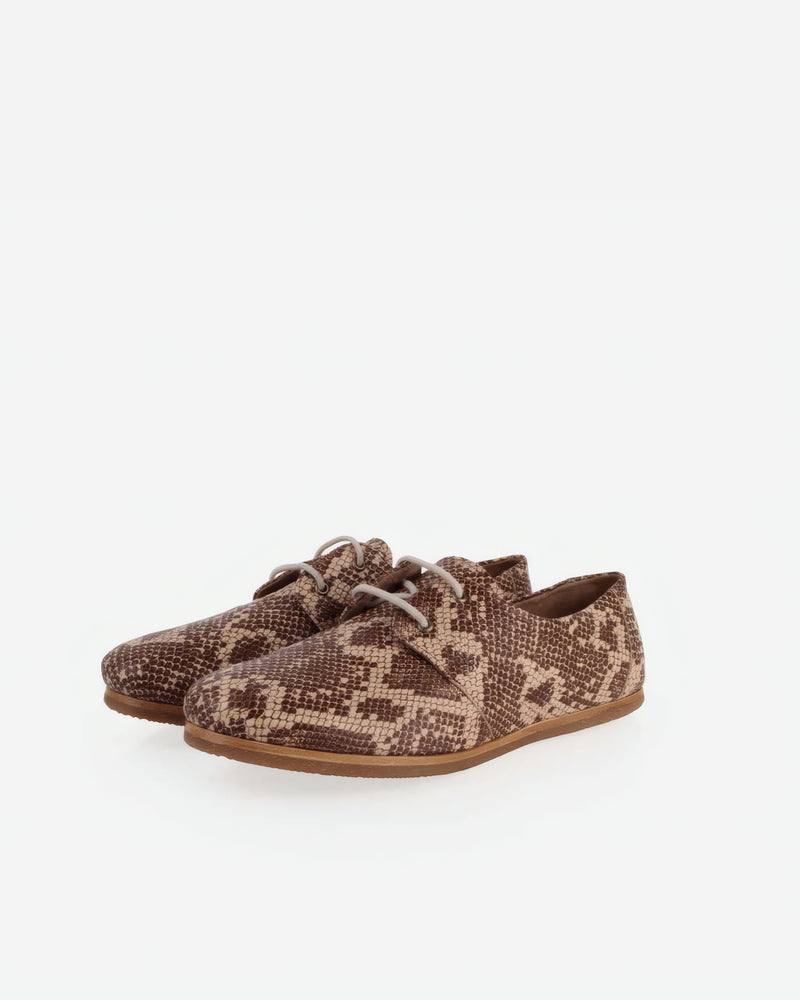 The Eyelet Oxford 2.0 Desert Snake