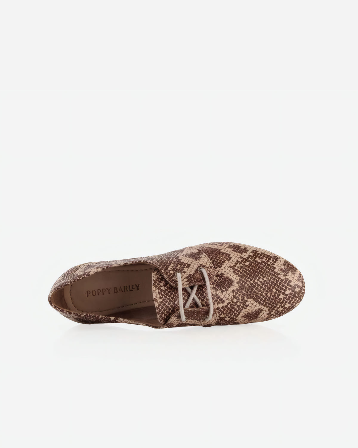 The Eyelet Oxford 2.0 Desert Snake